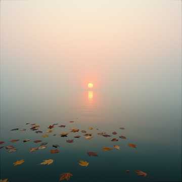 Сколько раз я ждала звонка